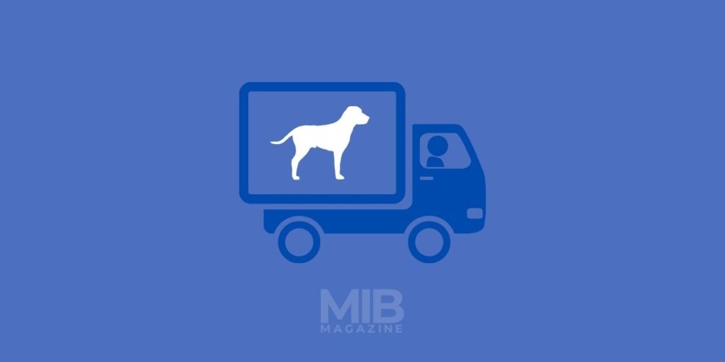 a pet taxi transporting dog